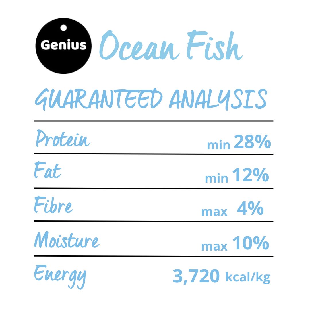 Ocean Fish 9 Kg Dog Food